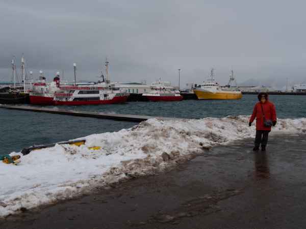 2020 03 01 denise sykes iceland 2020 reykjavik 050 jpg