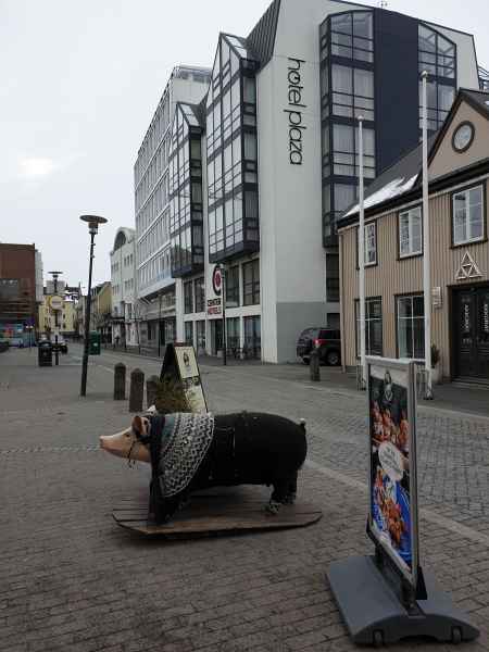 2020 03 01 iceland 2020 reykjavik 044 jpg