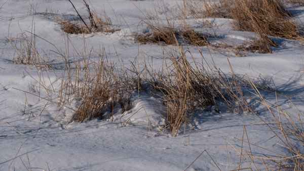 2020 03 05 alftanes iceland 2020 patterns 131 jpg