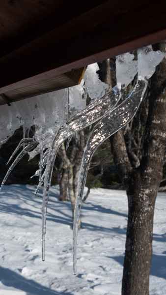 2020 03 06 hveragerdi iceland 2020 031 jpg