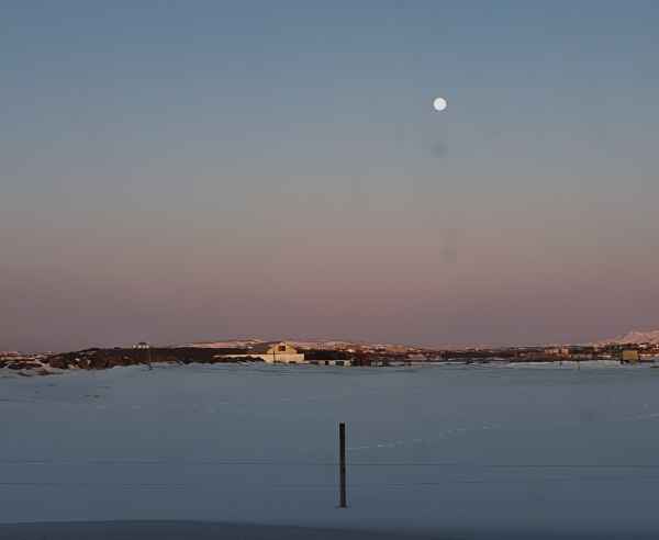 2020 03 08 alftanes iceland 2020 snowday 116 jpg