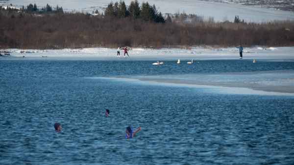 2020 03 08 fridheimar iceland 2020 snowday 111 jpg