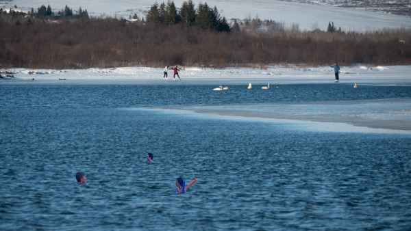 2020 03 08 fridheimar iceland 2020 snowday 112 jpg