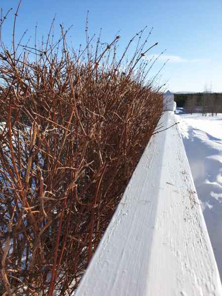 2020 03 08 haukadalskirkja iceland 2020 snowday 108 jpg