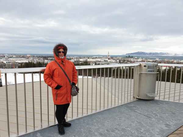 2020 03 09 denise sykes iceland 2020 reykjavik thepearl 049 jpg