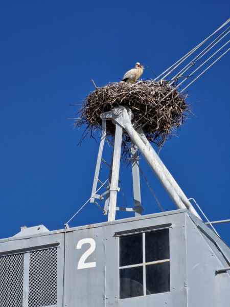 2023 02 06 portimao stork 035 d 2
