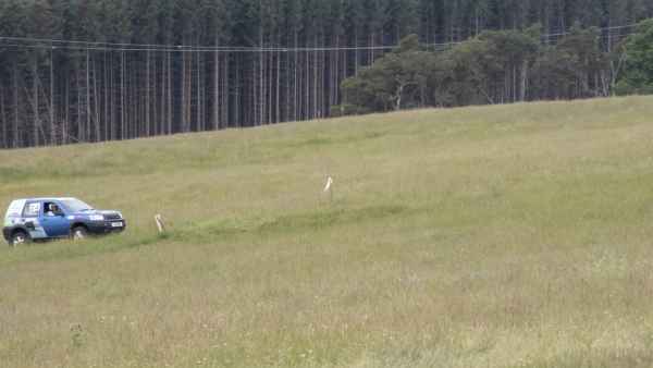 2023 06 17 hill rally ian sykes lauder 021 