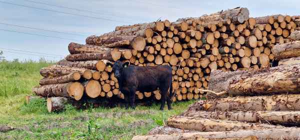 2023 06 17 hill rally lauder 028 