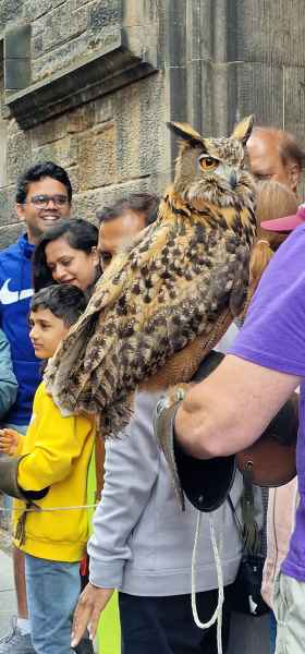 2023 06 19 edinburgh owls 053 