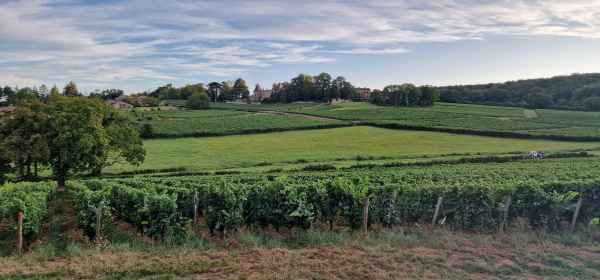 2023 08 28 vinzelles 075  2