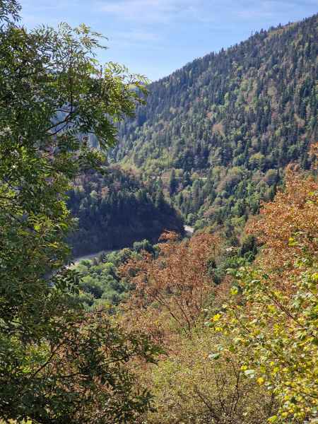 2023 08 31 monistrol de alier 130  2