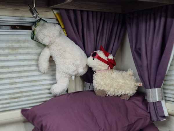 2023 09 18 estersheep stvalery 254 