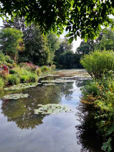 2023 09 16 1059 monet gardens 013 