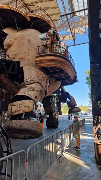 2023 09 13 denise sykes elephant les machines de l ile nantes 043 