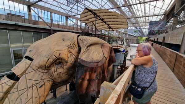 2023 09 13 denise sykes elephant les machines de l ile nantes 065 