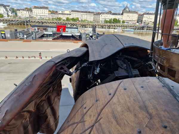 2023 09 13 elephant les machines de l ile nantes 042 