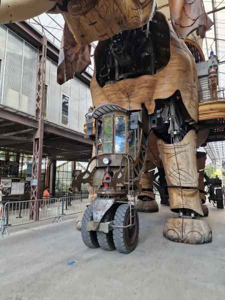 2023 09 13 elephant les machines de l ile nantes 063 