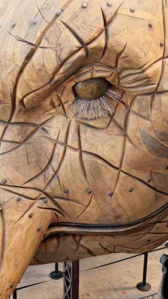 2023 09 13 elephant les machines de l ile nantes 066 