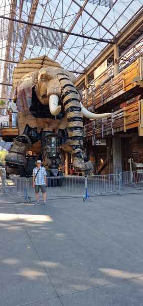2023 09 13 elephant les machines de l ile nantes peter sykes 047 