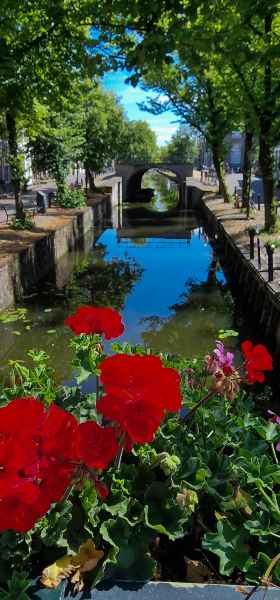 2024 07 29 1223 edam 084  2