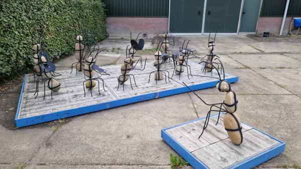 2024 08 04 2024 harmelen 117  2