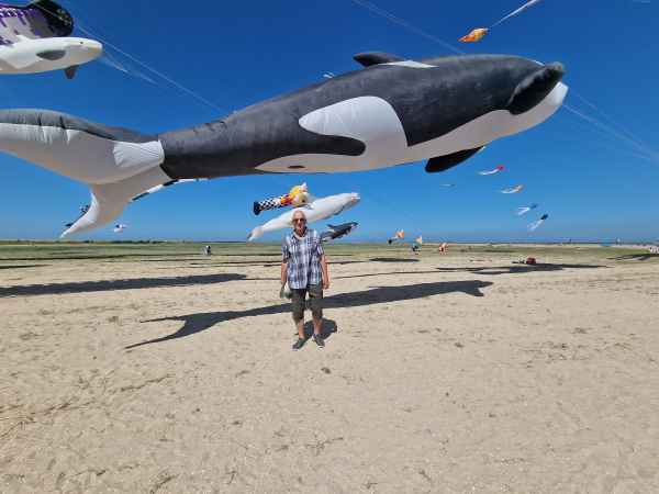 2024 08 11 1246 grand fort philippe gravelines kites peter sykes 129  2