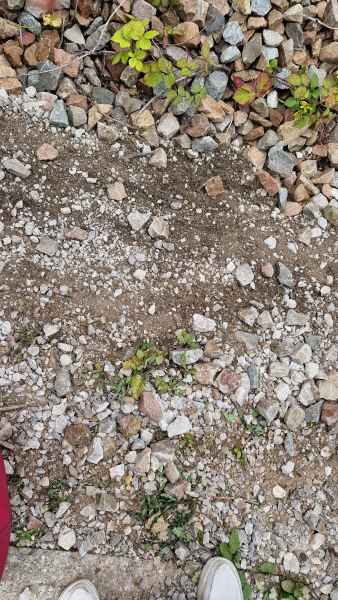 2025 07 06 1657 calais danube cruise 382 