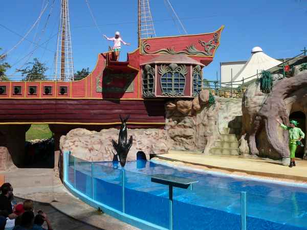 2006 10 05 algarve 2006 seals sealions zoomarine 110 jpg