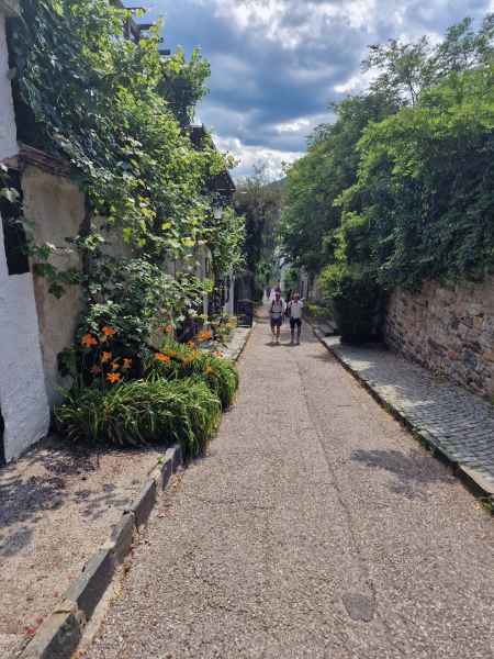 2025 06 29 1540 danube cruise durnstein 151  2