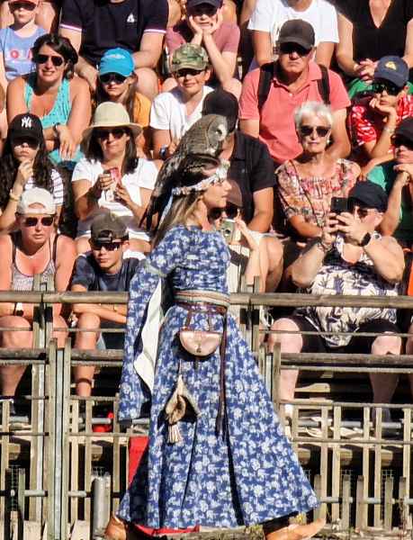  2025 08 08 1018 le bal des oiseaux fantomes puy du fou 036 