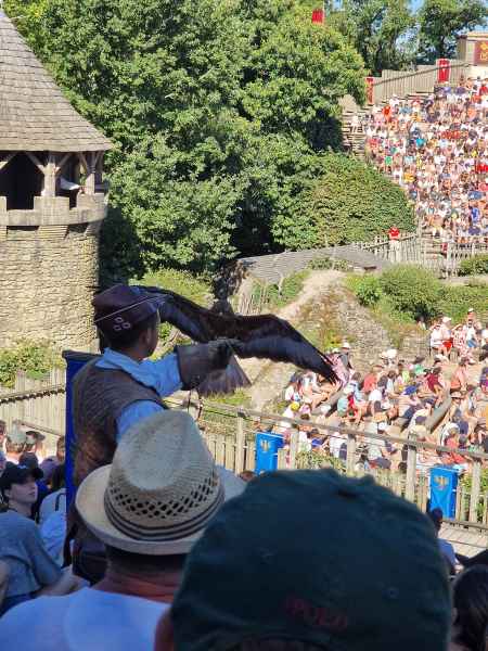  2025 08 08 1022 le bal des oiseaux fantomes puy du fou 124 