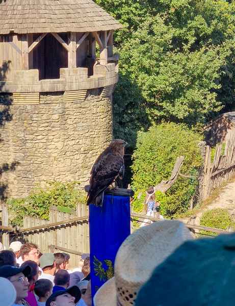  2025 08 08 1022 le bal des oiseaux fantomes puy du fou 125 