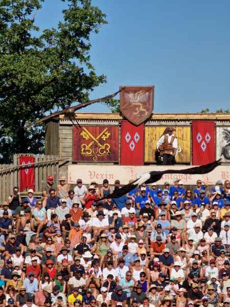  2025 08 08 1036 le bal des oiseaux fantomes puy du fou 126 