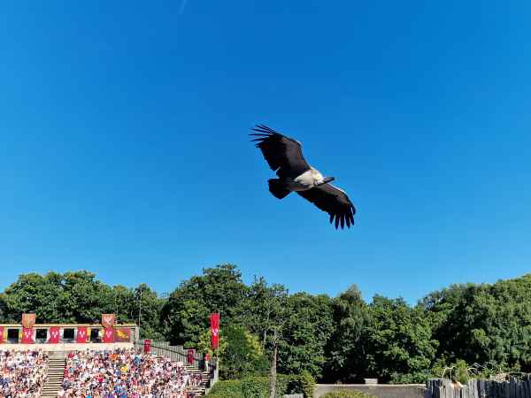  2025 08 08 1038 le bal des oiseaux fantomes puy du fou 128 