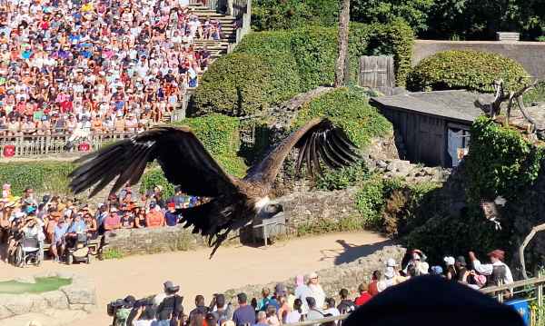  2025 08 08 1039 le bal des oiseaux fantomes puy du fou 129 