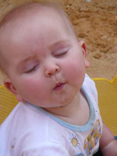 2007 10 08 albufuria algarve 2007 harrylangridge 034 jpg