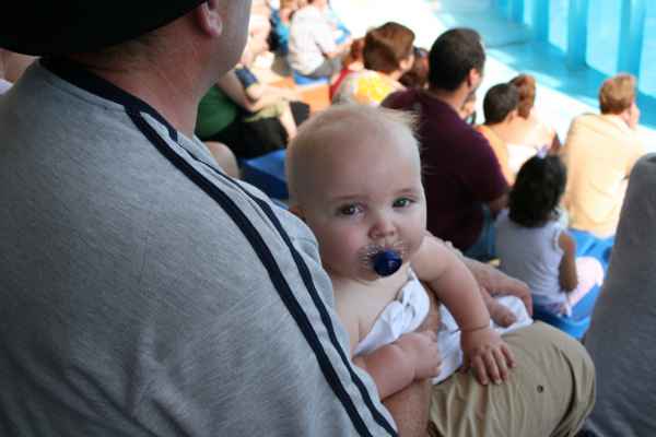 2007 10 11 algarve 2007 dolphins harrylangridge mathews birthday zoomarine 059 jpg